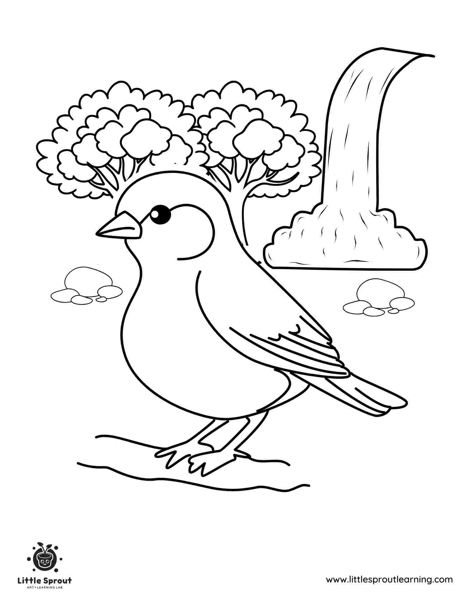 Waterfall Bird Coloring Page