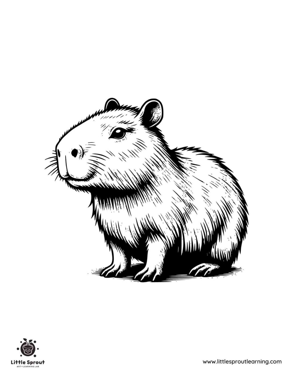 20 Free Capybara Coloring Sheets For Children - Little Sprout Art ...