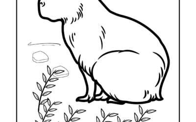 Sitting Capybara Coloring Page