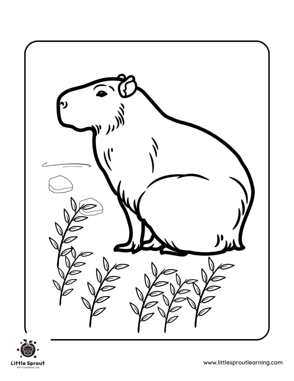 20 Free Capybara Coloring Sheets For Children - Little Sprout Art ...
