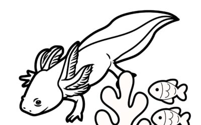 Axolotl Coloring Sheet
