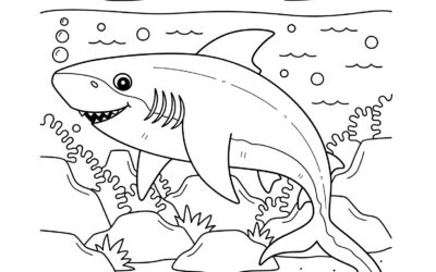 Bull Shark Coloring Page