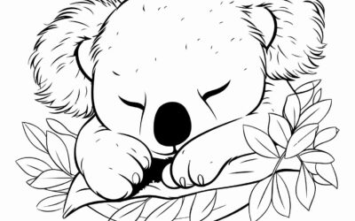 Realistic Koala Coloring Page